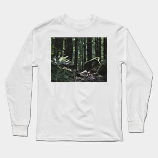 Forest Path Long Sleeve T-Shirt